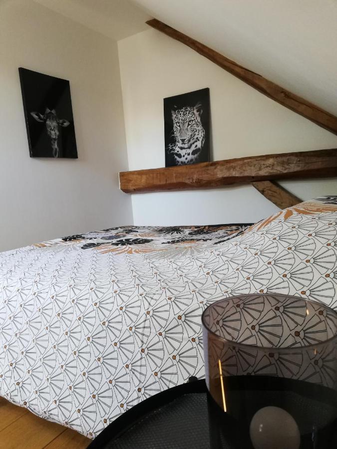 * Maison Aux Portes De Troyes En Champagne * Villa Sainte-Maure Ngoại thất bức ảnh